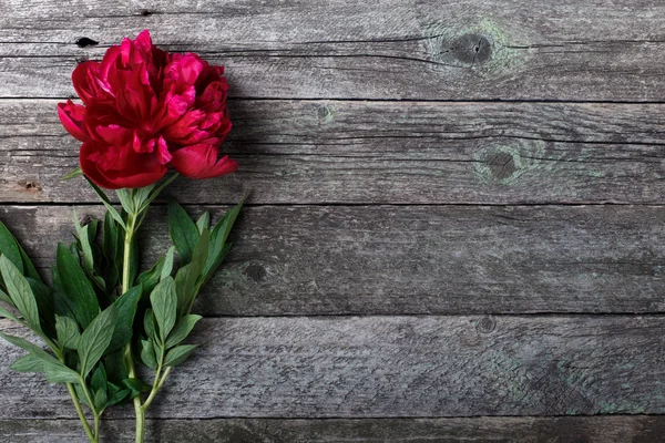 Roze pioenrozen bloemen op rustieke houten achtergrond. Selectieve aandacht, plaats voor tekst, bovenaanzicht — Stockfoto