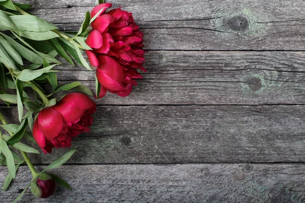 Peonie rosa fiori su sfondo rustico in legno. Focus selettivo, posto per testo, vista dall'alto — Foto Stock