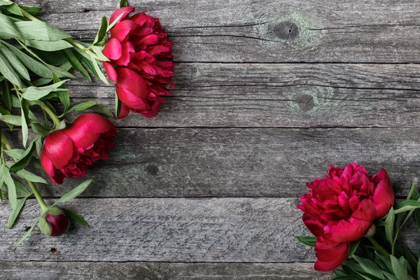 Prachtige roze pioenrozen bloemen op rustieke houten achtergrond. Selectieve aandacht, plaats voor tekst, bovenaanzicht — Stockfoto