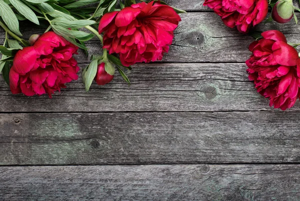 Roze pioenrozen bloemen op rustieke houten achtergrond. Selectieve aandacht, plaats voor tekst, bovenaanzicht — Stockfoto