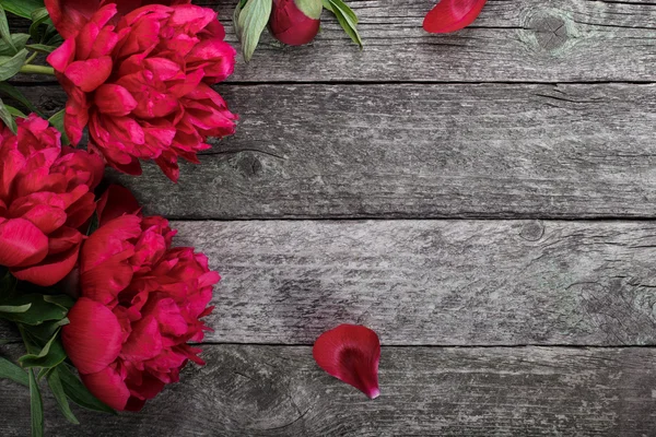 Roze pioenrozen bloemen op rustieke houten achtergrond. Selectieve aandacht, plaats voor tekst, bovenaanzicht — Stockfoto