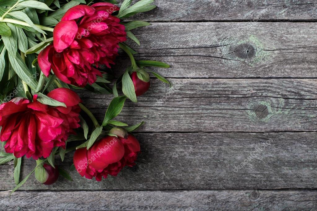 Pink peonies flowers on rustic wooden background. Selective focus, place  for text, top view Stock Photo by ©Valentinjukov 122705164