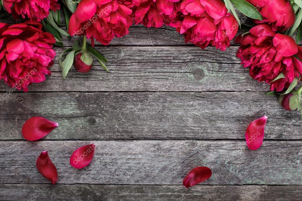 Floral frame with pink peonies flowers on rustic wooden background ...