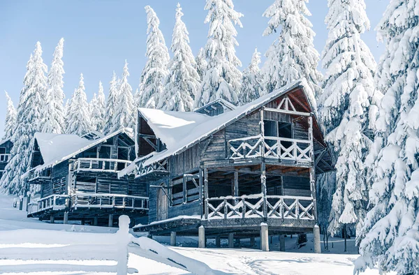 美丽的雪地冷冰冰的冷山冷杉 房子在北方 圣诞节的背景是被雪覆盖的高大的云杉树 高山滑雪胜地 冬季贺卡 新年快乐 — 图库照片