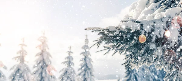 Fondo Navidad Con Ramas Abeto Cubiertas Nieve Vacaciones Invierno Hermosos — Foto de Stock