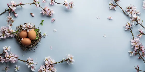 Yuvada Paskalya yumurtaları ve açık mavi arkaplanda pembe çiçekli sakura dalları. Mutlu Paskalyalar, üst manzara, düz yatak