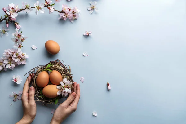 Kezek Tartják Fészket Húsvéti Tojások Világoskék Háttér Rózsaszín Virágzó Sakura — Stock Fotó