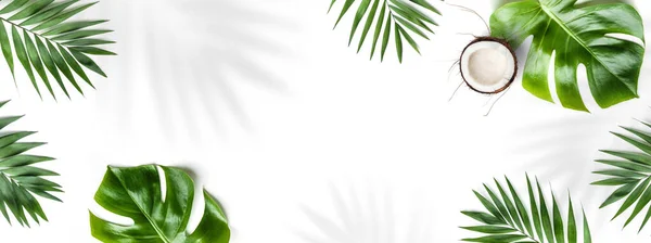 Tropische Bladeren Monstera Planten Kokosnoot Geïsoleerd Witte Achtergrond Zomerconcept Bladschaduwen — Stockfoto