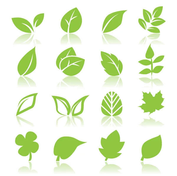 Leaf icon — Stock Vector