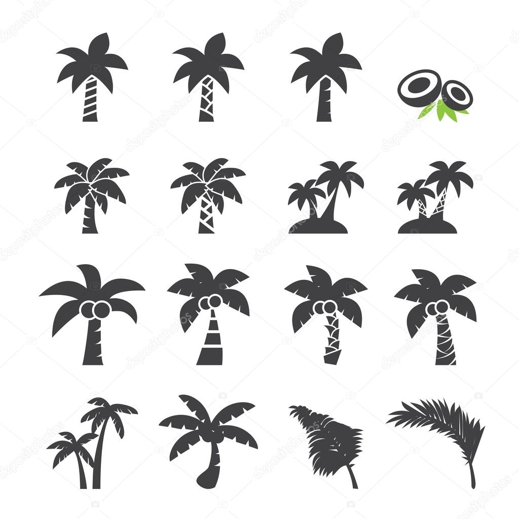 coconut tree icon