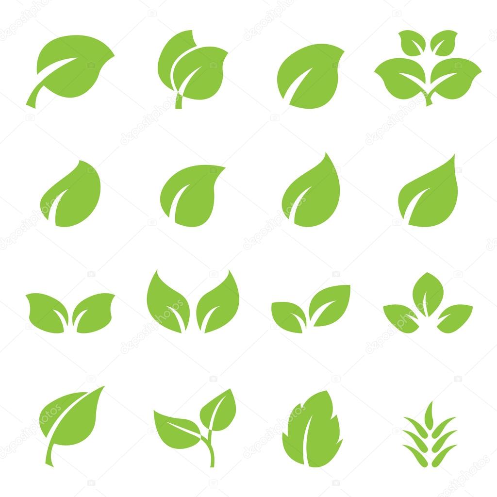 leaf icon set