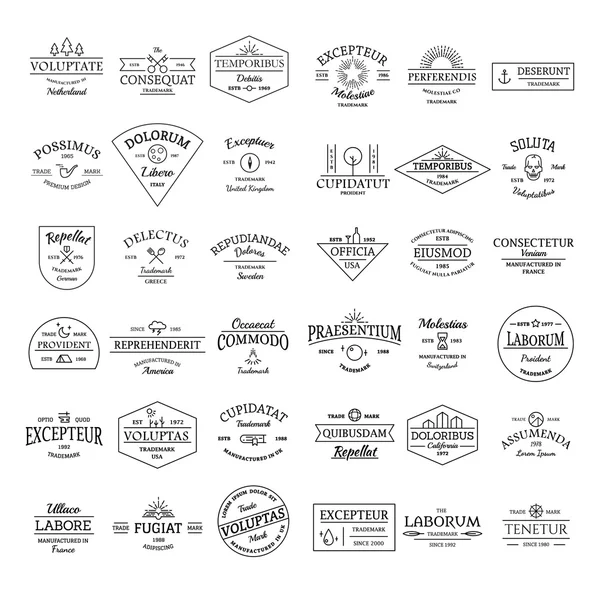 Vintage retro logo badges set — Stock Vector