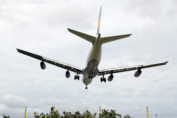 Luqa Malta Janeiro 2016 Lufthansa Airbus A340 313 Aifd Chegando — Fotografia de Stock