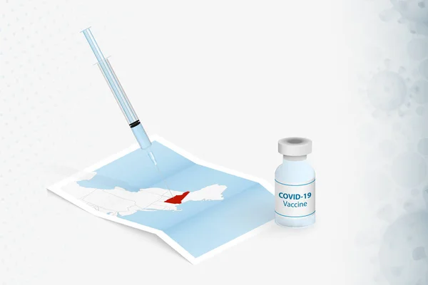 Vaccinatie New Hampshire Injectie Met Covid Vaccin Kaart Van New Stockvector