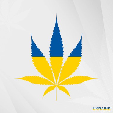 Marihuana yaprağı şeklinde Ukrayna bayrağı. Ukrayna 'da kenevirin yasallaştırılması kavramı.
