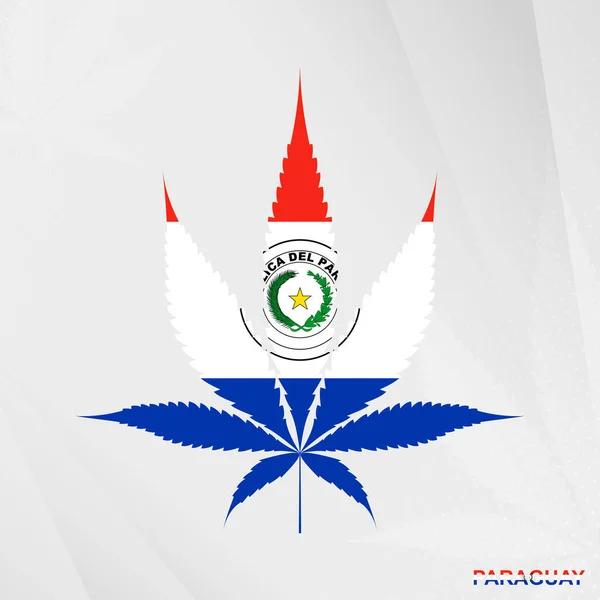 Flagge Von Paraguay Form Von Marihuana Blättern Das Konzept Der — Stockvektor