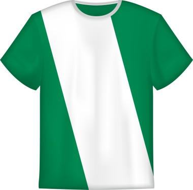 Nijerya bayraklı tişört tasarımı. Tişört şablonu.