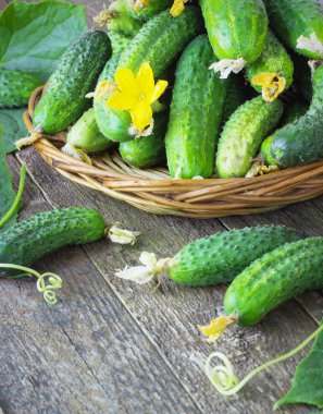 Bir sepette salatalık hasat et. 