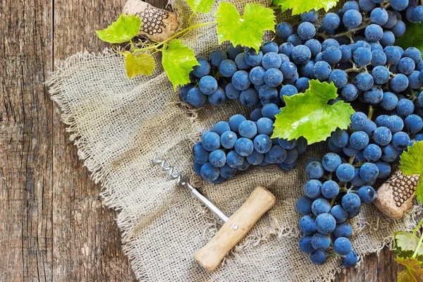 Grapes in vintage setting with corks on wooden table — Stock Photo, Image