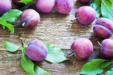 Tahta masada taze erikler.