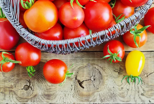 Tomates em fundo de madeira — Fotografia de Stock