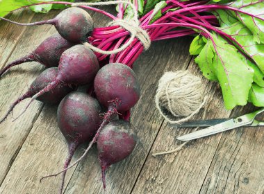 Genç, taze pancar başında eski ahşap arka plan ile. Rustik tarzı. Seçici odak