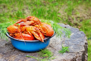 sokak eski ahşap güdük üzerinde kerevit