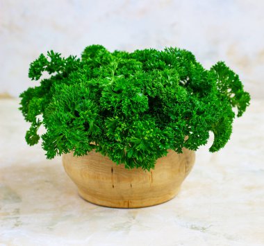 Hafif arka planda taze maydanoz. Maydanoz, vejetaryenlik.