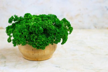 Hafif arka planda taze maydanoz. Maydanoz, vejetaryenlik.