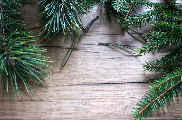 Fir branches — Stock Photo, Image