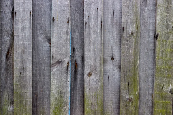 Wood texture. background old panels — Stock Photo, Image