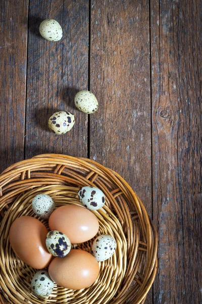 Αυγά κότας και ορτύκια — Φωτογραφία Αρχείου