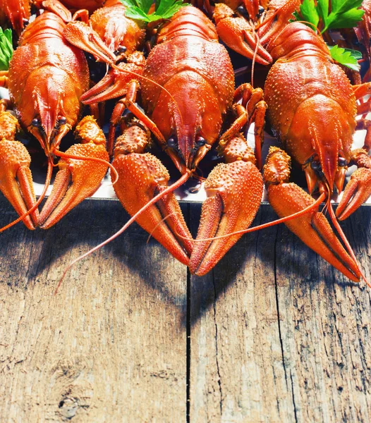 Crawfish on wooden background — Stock Photo, Image