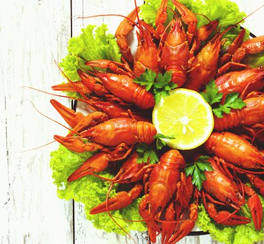crawfish on wooden background clipart