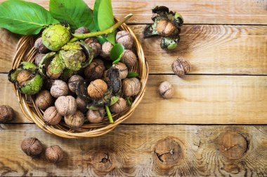 Ceviz yaprakları ile yeşil kabuğu içinde