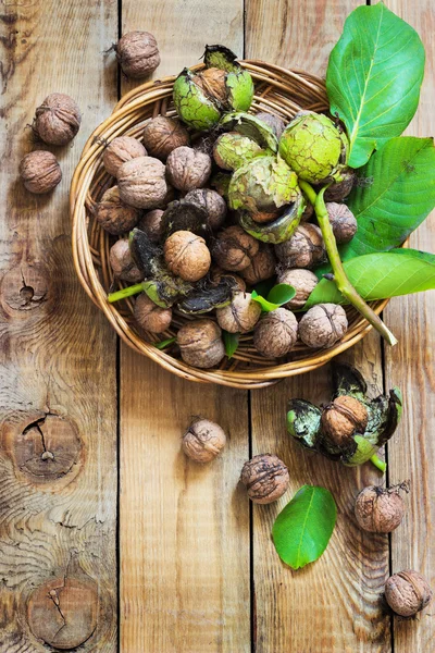 Walnuts in green husks with leaves — Stock Photo, Image