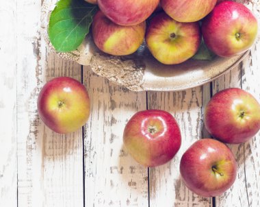 Taze hasat elma. Doğa meyve kavramı.