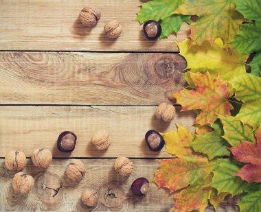 Fındık ve kestane eski ahşap arka plan üzerinde yaprak