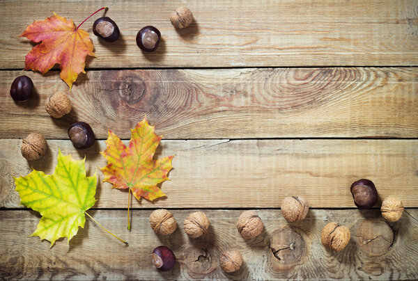 Autumn leaves nuts and chestnuts over old wooden background