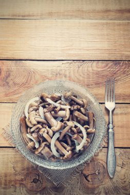 marine edilmiş bal mantar konserve