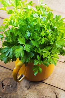 Tahta arka planda taze yeşil maydanoz