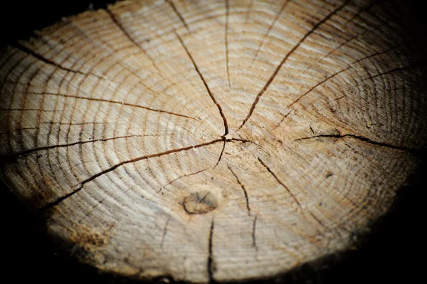 Резка древесины — стоковое фото