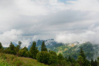 Sabah dağlarda sis var. Orman, doğa..