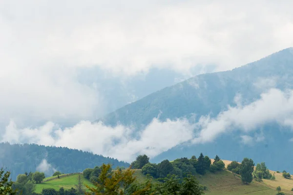 stock image Fog in morning on the mountains. Forest, nature.