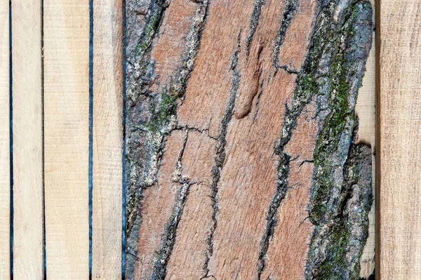 Arrière Plan Planche Naturelle Avec Beau Motif Nœuds Structure Arbre — Photo