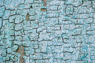 Eski çatlak boyanın dokusu. Tasarımcıların arkaplanı.