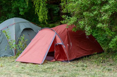 Ormanın altında kamp ve çadır. Ormanda kamp çadırında.