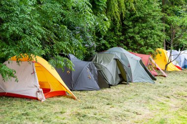 Ormanın altında kamp ve çadır. Ormanda kamp çadırında.
