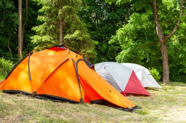 Ormanın altında kamp ve çadır. Ormanda kamp çadırında.