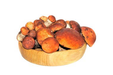 Beyaz arkaplanda mantar